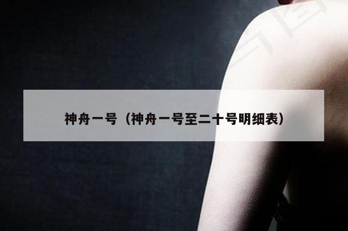 神舟一号（神舟一号至二十号明细表）